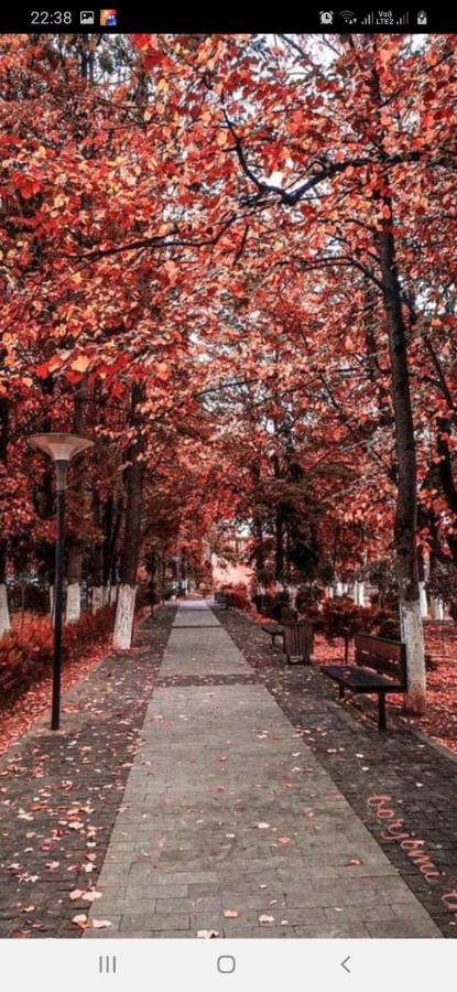 Gamsakhurdia Street Borjomi Exterior photo