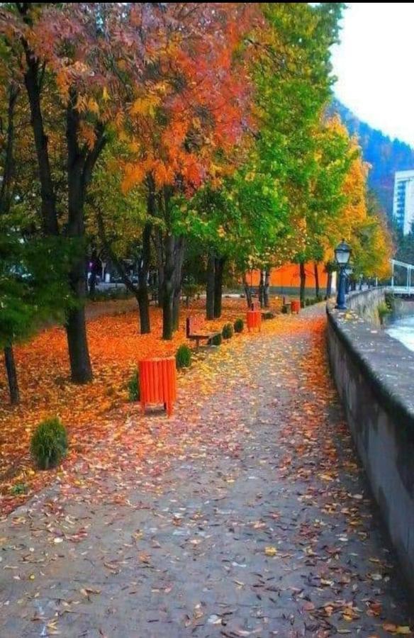 Gamsakhurdia Street Borjomi Exterior photo