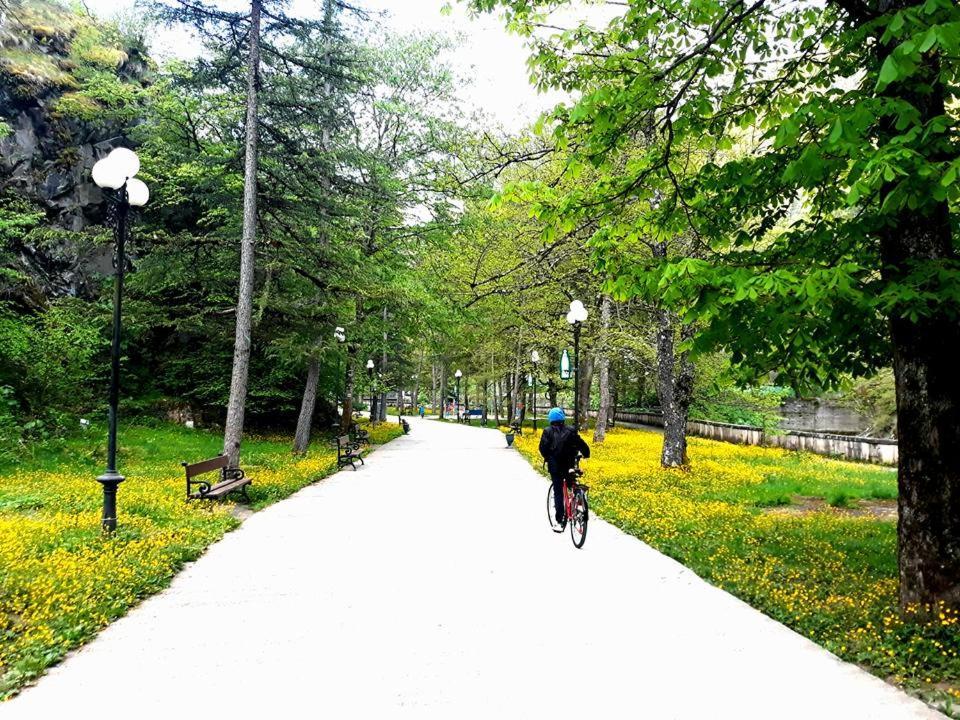 Gamsakhurdia Street Borjomi Exterior photo