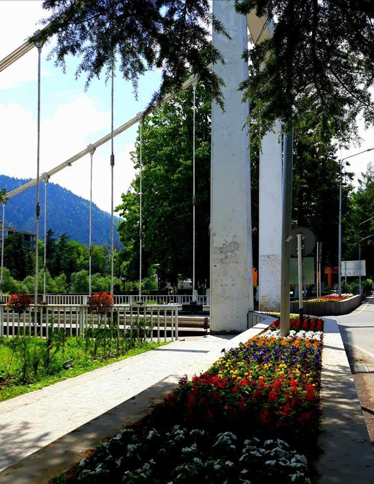 Gamsakhurdia Street Borjomi Exterior photo